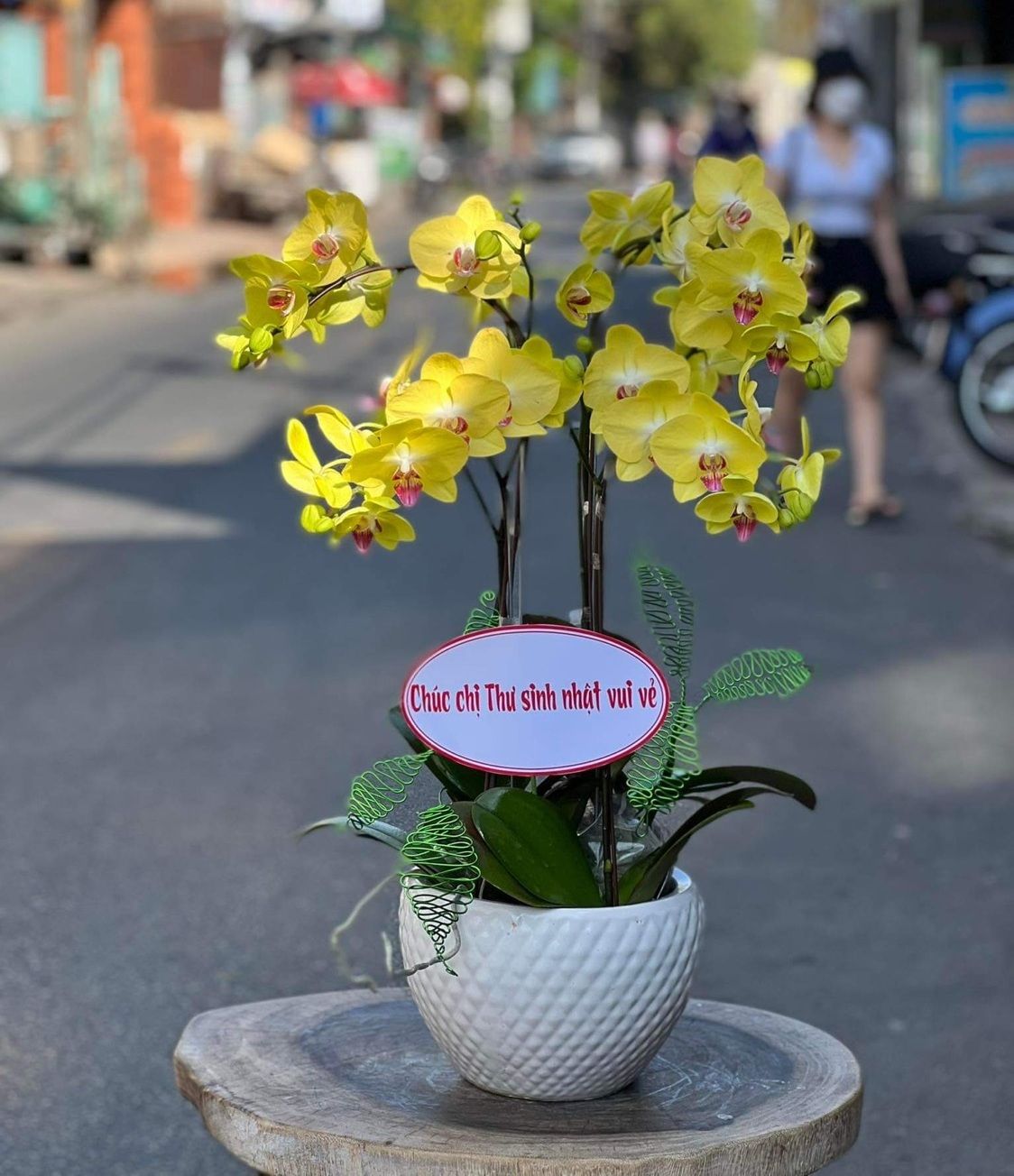 Thiên niên vạn lộc 03