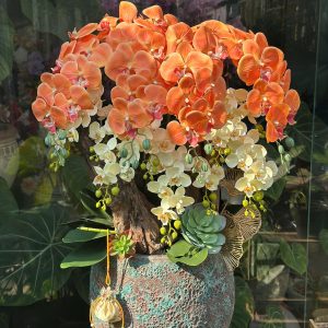 Chậu lan hồ điệp giả tone cam vàng Ánh Mật 8 cành phối trắng, chậu gốm trang trí